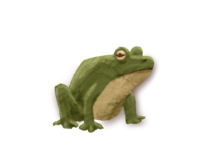 Frog